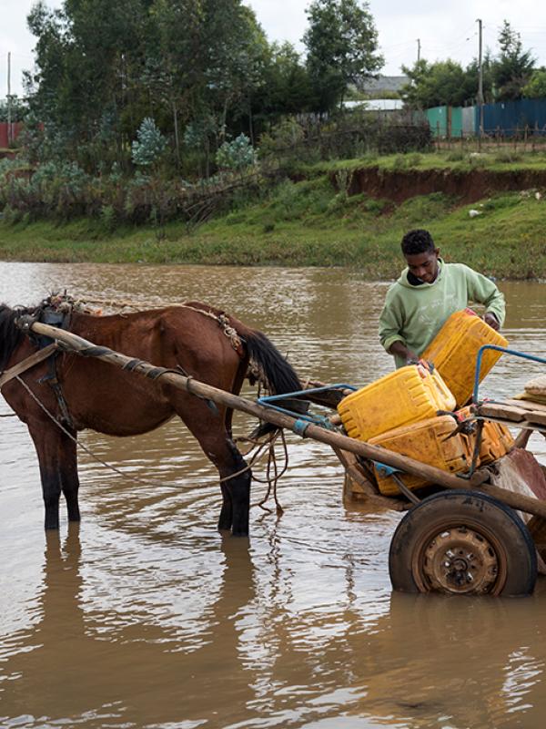 Horse cart carrying water