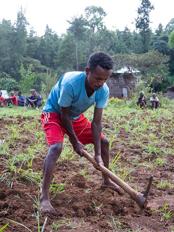 Young man working in field